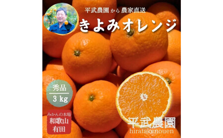 農家直送！きよみオレンジ 3kg ≪秀品≫［平武農園］～蛍飛ぶ町から旬の便り～［2026年3月下旬から順次発送予定］