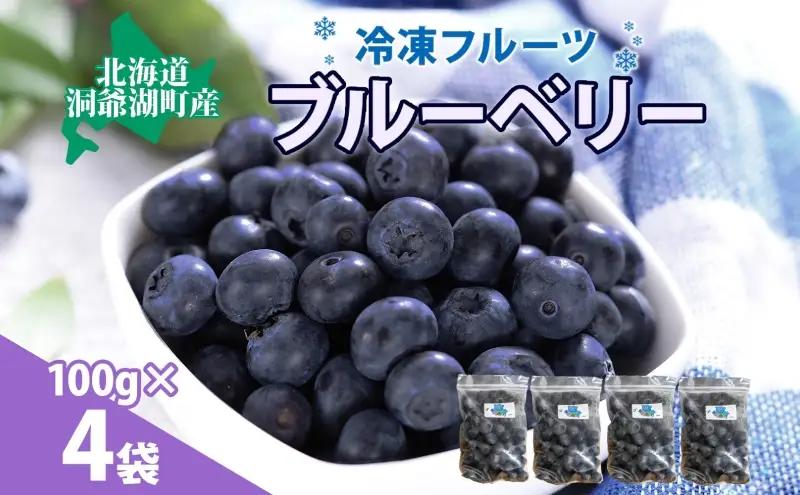 ブルーベリー 北海道産 小分け ブルーベリー【100g×4袋】【冷凍】