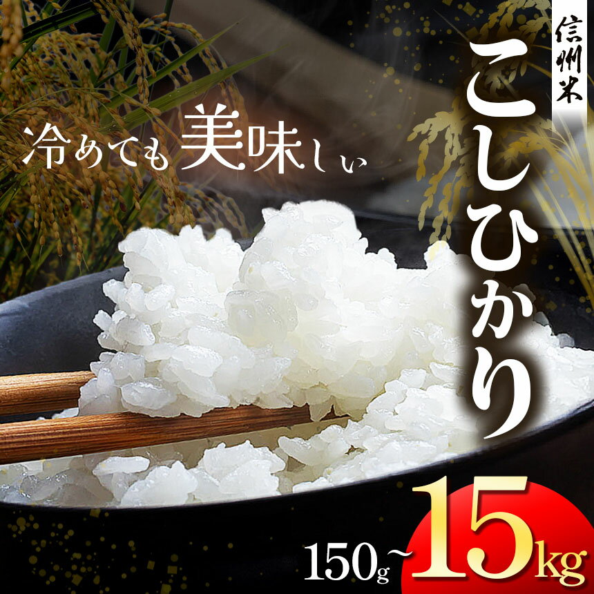 【ふるさと納税】 米 こしひかり 信州 米 | 選べる 信州松本産 こしひかり 白米 150g～15kg │信州 松本市 米 お米 コシヒカリ こしひかり アルプス 国産米 長野県産 おすすめ 白米 ふっくら 田畑 農家 ふるさと納税 松本市 美味しい