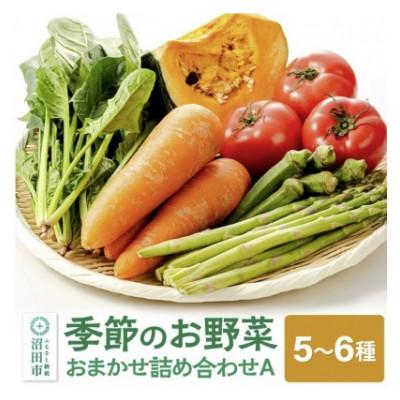 ふるさと納税 沼田市 【3ヵ月毎定期便】季節のお野菜おまかせセット A全3回