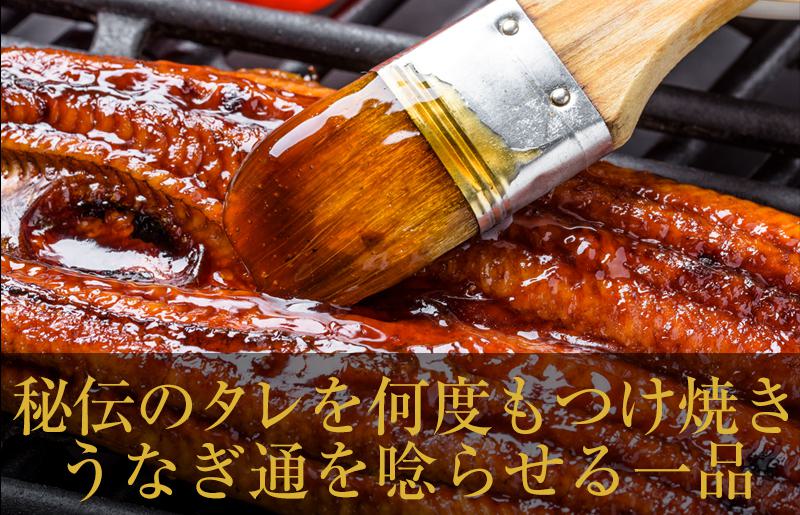 秘伝のたれ仕込み うなぎ蒲焼 合計800g（約160ｇ×5尾）鰻 ウナギ 中国産 温めるだけ 簡単 レンジ調理 ふっくらふわふわ 炭火焼き 備長炭 手焼き 020C220