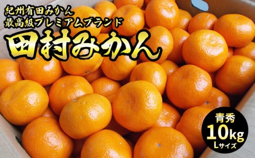 【2026年先行予約】「高級 田村みかん」 青秀 約10kg Lサイズ 和歌山県有田産 有田みかん_U6246