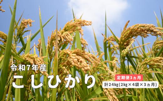 150258【令和7年産／お米定期便／3ヵ月】しまね川本 こしひかり 2kg×4袋 (計24kg）