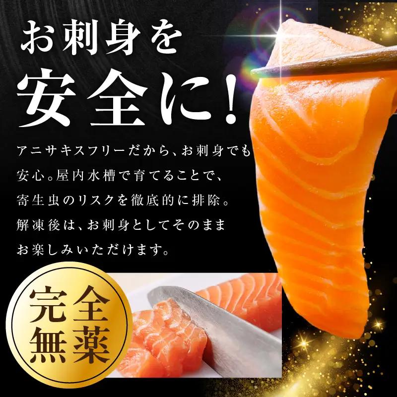 シャインサーモン 380g以上