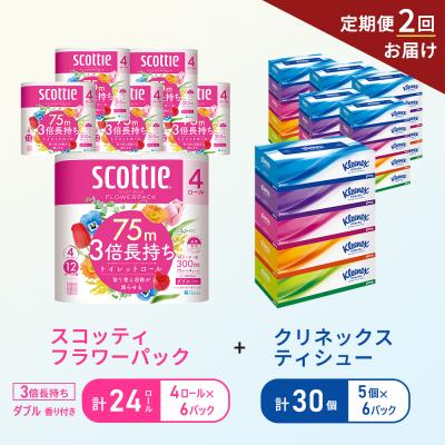 ふるさと納税 岩沼市 【6ヶ月ごと計2回お届け】ティッシュ+トイレットペーパー6P   [No.5704-1781]