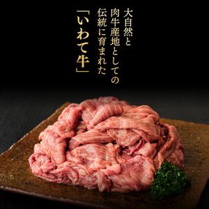 ＼3ヶ月連続 定期便／ 切り落とし 肉 牛肉 小分け 真空冷凍 いわて牛 500g (総計 1,500g) 岩手県産 和牛 牛肉 黒毛 和牛 切り落とし肉 大容量 肉 すき焼き 肉じゃが 煮込み 煮物