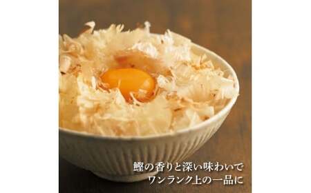土佐「本枯節」約1kg（3〜5本）と削り器「けずりっ子」  高知県土佐市 【有限会社　竹内商店】 [BQAX007]