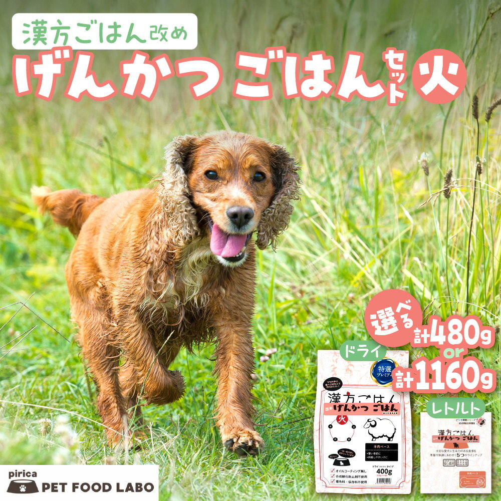 【ふるさと納税】 ペットフード 犬 げんかつごはん 【 選べる 容量 】 漢方ごはん 火ドライタイプ レトルト 計480g 計1160g セット 愛犬用 ノンオイルコーティング 鶏 食養生 薬膳 総合栄養食 安心素材 北海道食材 漢方食材 着色料 保存料 酸化防止剤不使用 北海道 札幌市