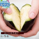 【ふるさと納税】泉佐野老舗料亭 割烹料理人が漬ける 水茄子の浅漬け6個セット ＼お中元／ 大阪府 泉佐野市 送料無料