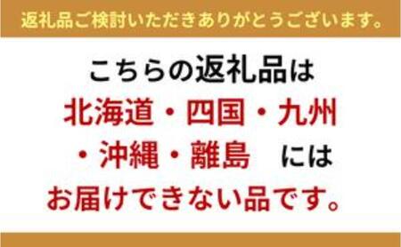 （地域・期間限定）訳あり柳澤果樹園のシャインマスカット約1.1kg 果物 ぶどう フルーツ おやつ デザート 食後 秋の味覚 産地直送 長野県産 有機肥料