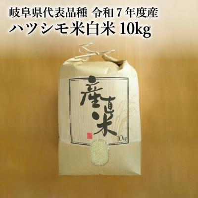 ふるさと納税 関市 【岐阜県代表品種】令和7年産ハツシモ米　白米10kg【11月20日以降順次発送】