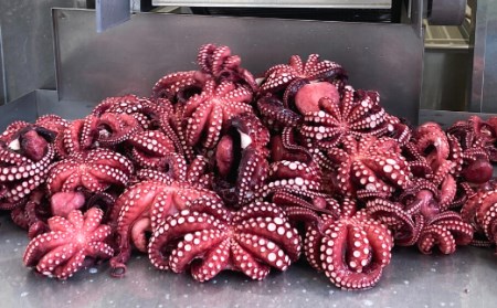 久慈の「蒸しマダコ」まるごと2～5匹 計１kg