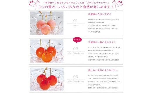 さくらんぼの宝石!プチジェリチェリー 8個入×2箱セット　010-G-SF002 ２箱