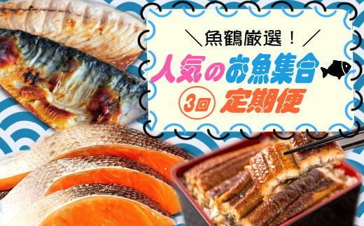 
                  【3回定期便】【毎月お届け】魚鶴厳選！人気のお魚集合定期便（さば・銀鮭・うなぎ）【tkb307】
                