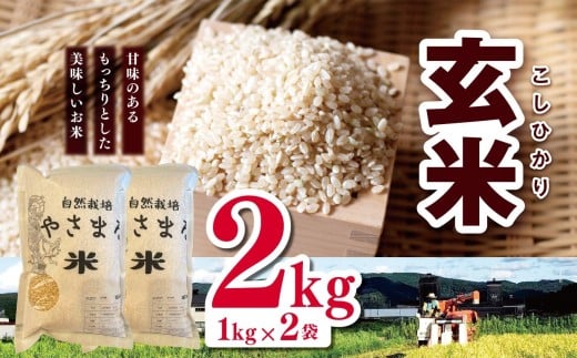 新米 令和7年産 コシヒカリ 玄米 2kg （1㎏×2袋） |  やさまる 小分け 少量 米 こめ お米 おこめ げんまい こしひかり 千葉県 君津市 きみつ