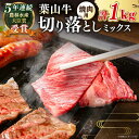 【ふるさと納税】国産 和牛 A5ランク 葉山牛 焼肉用 ミックス 切り落とし ( ロース モモ カルビ 等 ) 計1kg A5 黒毛和牛 牛肉 焼肉 冷凍 焼肉食べ比べ 焼肉セット 肉 【葉山牛ステーキレストラン 角車】[ASBD013]