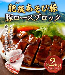 肥後あそび豚 ロースブロック 1kg×2パック 合計 2kg 《30日以内に出荷予定(土日祝除く)》熊本県 菊池市 ぶた ブタ 豚肉 肉 ブランド豚 ロース ブロック 国産 九州産 熊本県産 菊池市産