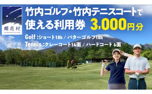 竹内ゴルフ ・ 竹内テニスコート で使える利用券 3000円分 北軽井沢 テニス テニスコート ショートゴルフ パターゴルフ ゴルフ ファミリー 観光 スポーツ 嬬恋高原 健康 チケット [AD004tu]