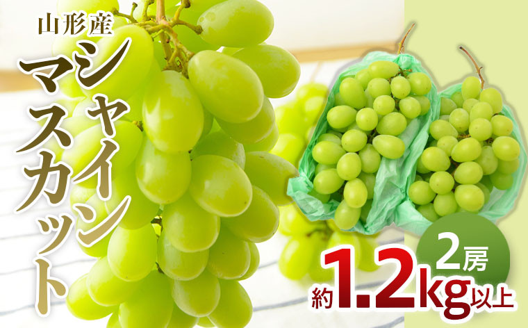 
山形のぶどう シャインマスカット 1.2kg以上(2房) 【令和6年産先行予約】FU22-225 フルーツ くだもの 果物 山形 山形県 山形市 ぶどう 葡萄 ブドウ 2024年産
