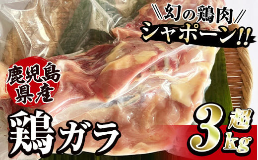 
            2922 唯一の国産　幻の鶏肉　シャポーン鹿児島鶏　鶏ガラ３㎏以上【鶏ガラ 鶏肉 鶏 鳥肉 鶏がら 鶏ガラスープ スープ シャポーン鶏】
          