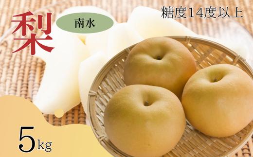 【2026年先行予約】梨 南水 糖度14度以上 約5kg | 果物 くだもの フルーツ 南水梨 梨 なし ナシ 新鮮 長野県 信州 南信州 飯田市