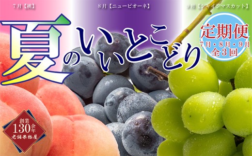 
                  【全3回】フルーツ定期便「丸亀市夏のいいとこどり定期便」/シャインマスカット 桃 ピオーネ  定期配送 頒布会 果実 果物 フルーツ 旬のフルーツ フルーツギフト フルーツ定期 フルーツ定期便 果物定期 果物定期便 人気果物 人気フルーツ 夏フルーツ  香川 丸亀
                