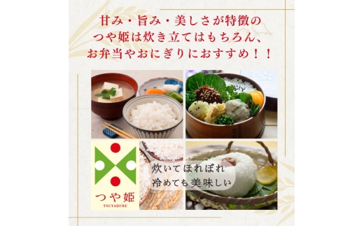 【10月発送】令和7年度 山形県産 つや姫 雪若丸 はえぬき 食べ比べ 20kg 白米 精米 ご飯 ごはん 国産 ブランド米 つやひめ ゆきわかまる 食品 山形県 西川町 月山 FYN1-480