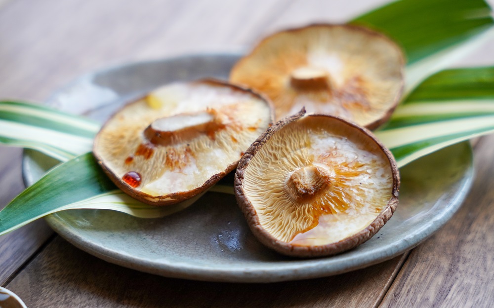 【先行予約】生椎茸 5袋セット 計 1kg以上 のんびりすくすく育った 菌床しいたけ｜生しいたけ 生シイタケ しいたけ きのこ キノコ 茸 野菜 京都 国産 肉厚 訳あり ※2024年10月上旬頃より