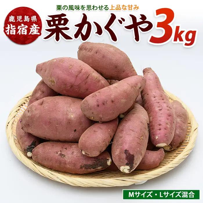 さつまいも 栗かぐや 約3kg サツマイモ IB084-004