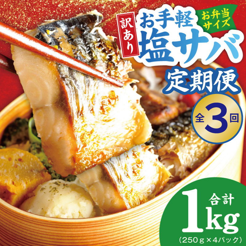 【定期便】塩さば 1kg（250g×4P）全3回【お弁当サイズ サバ 小分け 青魚 塩鯖 塩サバ 切身 塩焼き 焼きさば 焼き鯖 人気 冷凍 冷凍食品 おかず 惣菜 訳あり サイズ不揃い】 G4553