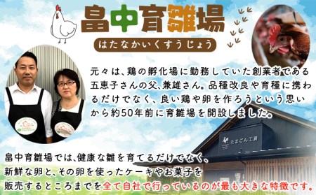 【6ヶ月定期便】畠中育雛場のげんきタマゴん 80個 6回お届けで計480個！《お申込み月の翌月から出荷開始》福岡県   卵  有限会社畠中育雛場