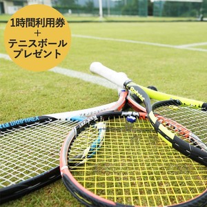 テニスコート利用券 天然芝 テニスボール付 テニスコート利用券【1時間】
