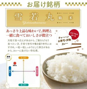 SC0641　令和7年産【精米】雪若丸　10kg(5kg×2袋) 農家直送 HO