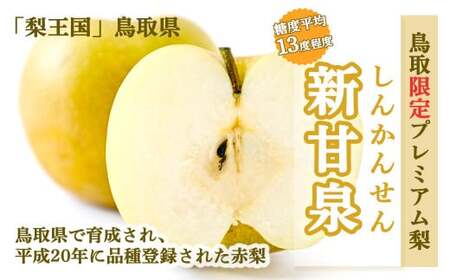 数量限定の先行予約品！お早めにご寄付ください。 【先行予約・数量限定】ハウス新甘泉とハウス二十世紀梨の食べ比べセット 鳥取県産 3kg 令和6年産 （生橋農園） 梨 鳥取 梨 3kg 果物 フルーツ 