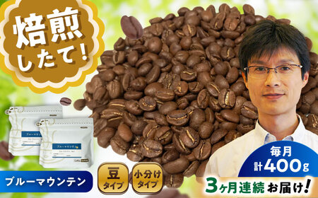 【全3回定期便】ブルーマウンテンNo.1　コーヒー豆　200g×2個(豆)  / コーヒー  ドリップ  豆 / Coffee SAKURA[BBAB030]