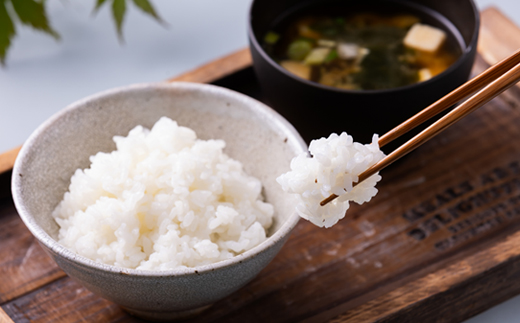 まっしぐら　精米5kg×1袋【配送不可地域：離島・沖縄県】【1135483】