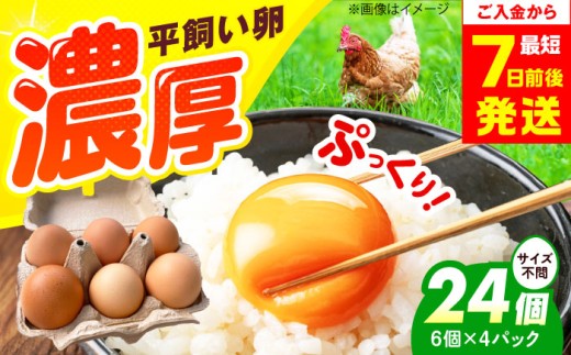 平飼い卵 24個セット たまご 卵 鶏卵 玉子 平飼い タマゴ 新鮮 大阪府高槻市/ベジ彩ファーム [AOEJ003]
