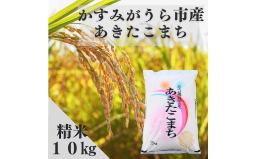 令和7年産かすみがうら市産あきたこまち  精米  10kg【1666719】