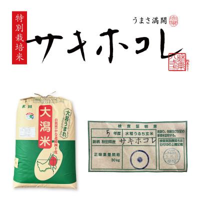 ふるさと納税 大潟村 予約受付開始!秋田県産　サキホコレ30kg　1等　玄米【令和7年産】《11月初旬より発送》