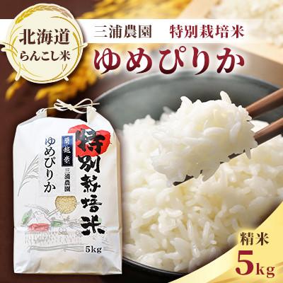 ふるさと納税 蘭越町 令和7年産　らんこし米 三浦農園 特別栽培米 精米 ゆめぴりか 5kg
