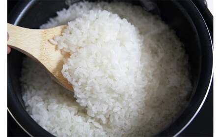 【令和8年産新米・3ヶ月定期便】コシヒカリ 白米 4kg（2kg×2袋）×3回（計 12kg）ヤタらうんめぇ お米 新潟県産 小分け 水田環境鑑定士在籍[Y0202]
