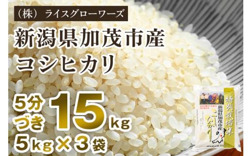 【令和8年産新米先行予約】【5分づき】新潟県加茂市産 特別栽培米コシヒカリ 精米15kg（5kg×3）《10月上旬～順次出荷》 従来品種コシヒカリ （株）ライスグローワーズ