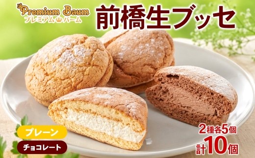 
                  生ブッセ プレーン チョコ 各5個 計10個 | 洋菓子 チョコレート ホワイトチョコレート クーベルチュール 焼き菓子 スイーツ 個包装 詰め合わせ お取り寄せ 贈り物 ギフト おもてなし お茶請け 群馬県 前橋市
                