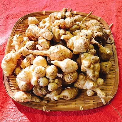 
                  ヤーコン&菊芋の計約6kg(各 約3kg)セット【 ヤーコン 菊芋 根菜 野菜 セット サラダ ジュース 炒め物 食物繊維 健康 茨城県 つくば市 】
                