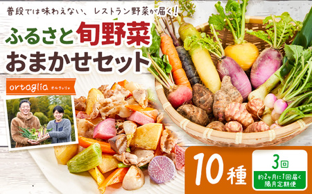 季節の旬野菜 おまかせセット 10種 3回 隔月定期便 （農薬・化学肥料不使用）オルタッリャ 《お申込み月の翌月から出荷開始》【配送不可地域あり】 