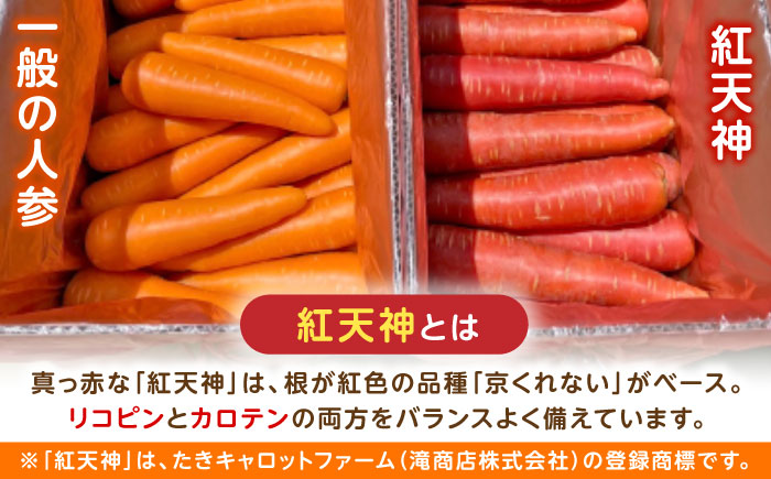 【訳あり】 【甘みと栄養たっぷり！】 真っ赤な人参 「紅天神」 10kg / にんじん ニンジン 人参 やさい 野菜 訳あり 訳アリ わけあり ワケアリ / 諫早市 / 滝商店株式会社 [AHCU00