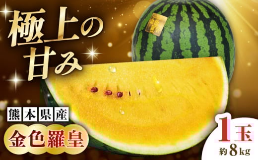 【2026年発送分 先行予約】【数量限定】金色羅皇 1玉入（約8kg） 大玉 すいか　【一般社団法人クラッシーノこうし】 [AYAB061]