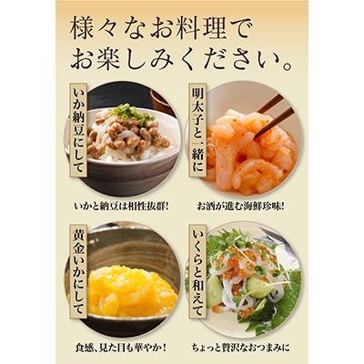 ふるさと納税 北斗市 【道水 DOHSUI】いかそうめん5人前(刺身用イカソーメン)北海道 産地直送 |  | 03