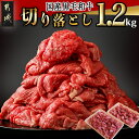 【ふるさと納税】【国産黒毛和牛】切り落とし1.2kg(600g×2P) - 国産 黒毛和牛 切り落とし 600g×2パック 冷凍配送 送料無料 MJ-E907【宮崎県都城市は2年連続ふるさと納税日本一！】