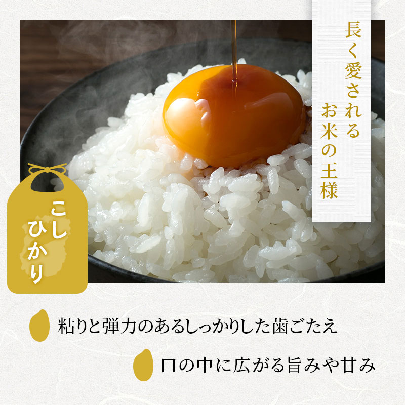 【令和8年産】 米 定期便 コシヒカリ 白米 5kg 先行予約 新米 こしひかり 3回定期便 精米 こめ コメ お米 ご飯 米定期便 3か月定期便 3ヶ月定期便 3回 3ヶ月 3か月 滋賀県 豊郷町